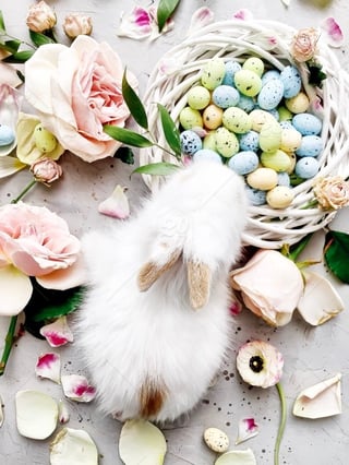 Easter bunny.jpg