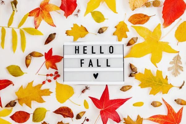 Fall Event and Vendor Trends Blog Article - Leaves